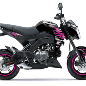 Pink Flame Z125 Pro (17-25) – D'COR Visuals