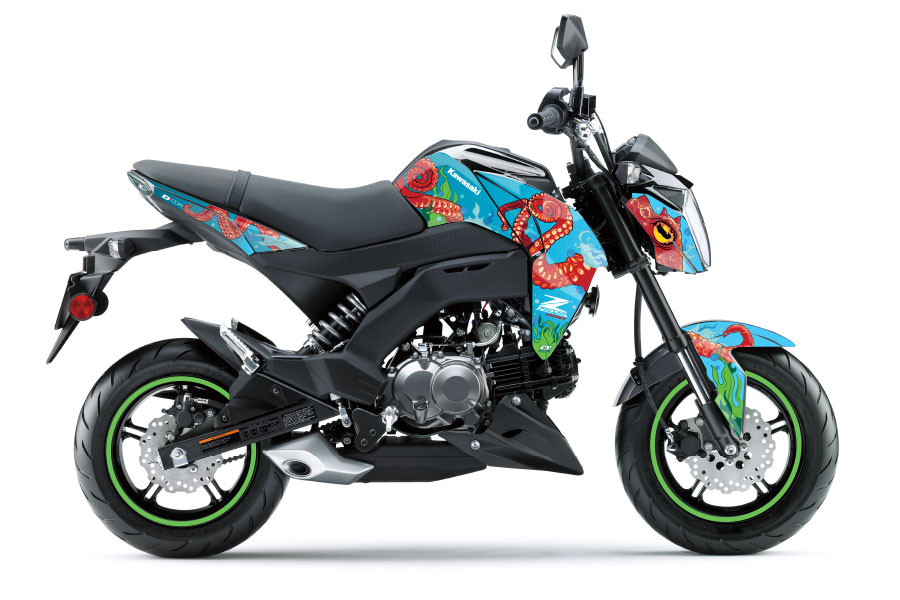 Octo-Gone Z125 Pro (17-25) – D'COR Visuals