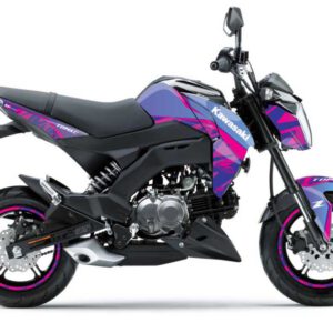 Z Icon Z125 Pro (17-25) – D'COR Visuals