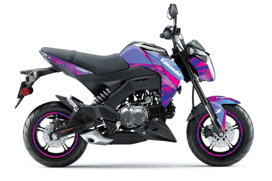 Pink Flame Z125 Pro (17-25) – D'COR Visuals