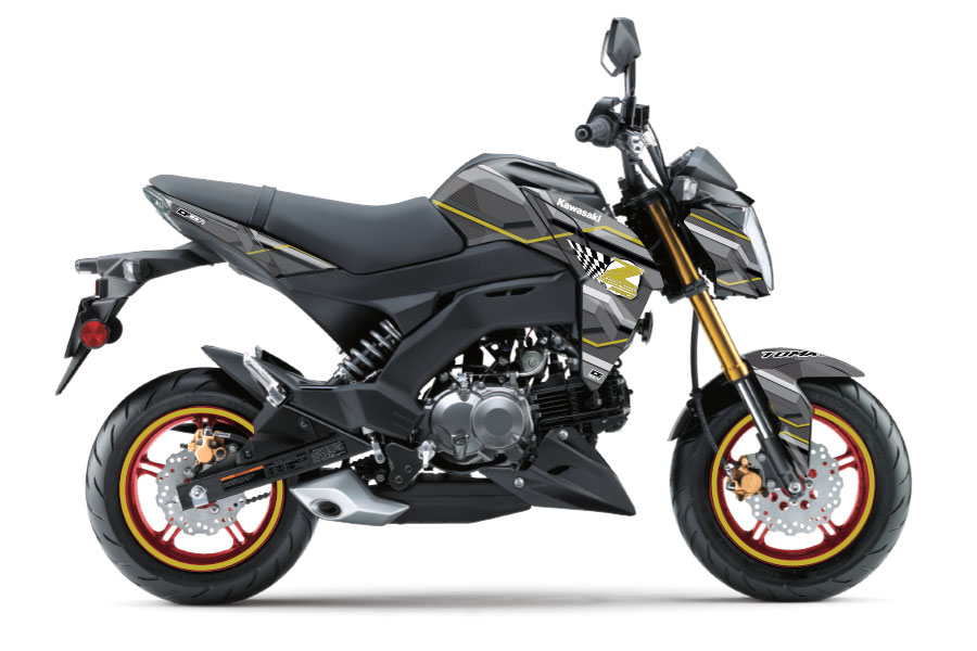 Octo-Gone Z125 Pro (17-25) – D'COR Visuals