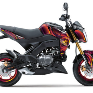 Vortex Violet Z125 Pro (17-25) – D'COR Visuals